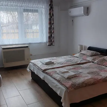 Katica Vendégháza Hébergement de vacances Dunafalva